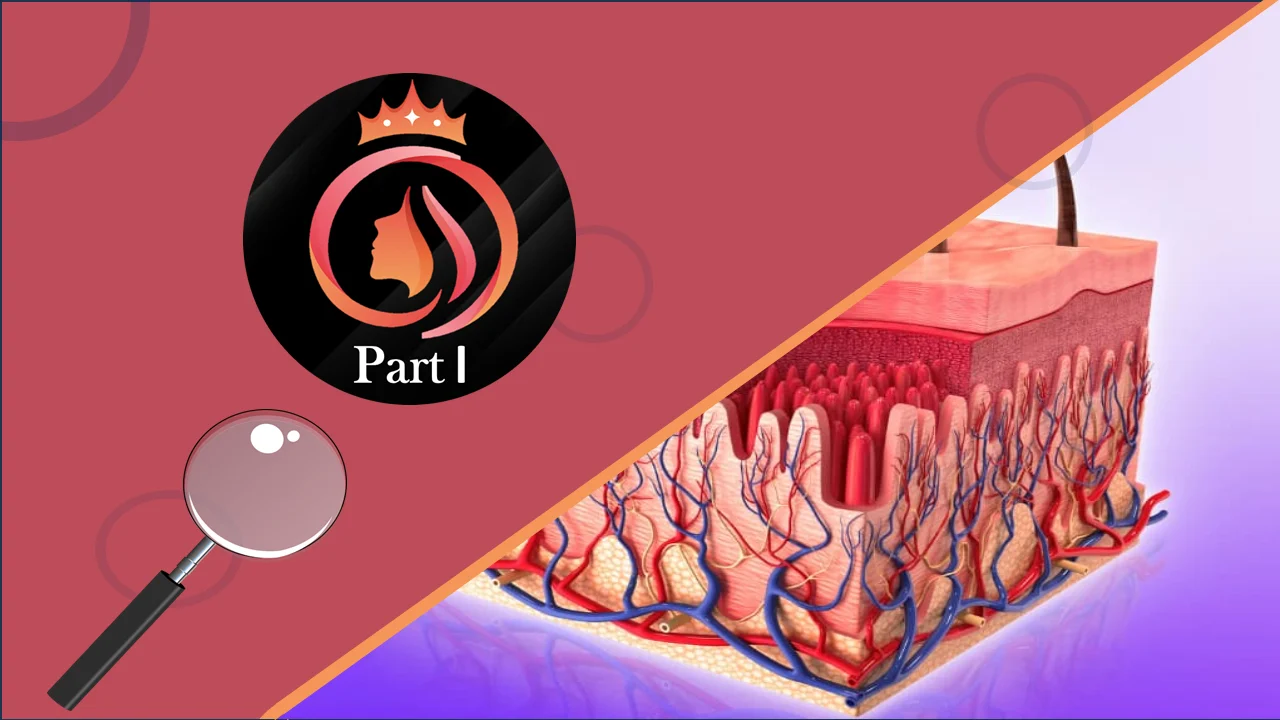Skin and Hair Care Diploma Part 1 course cover